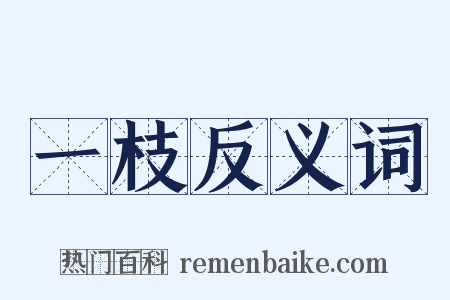 一枝反义词是什么意思的图片